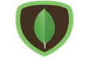 MongoDB